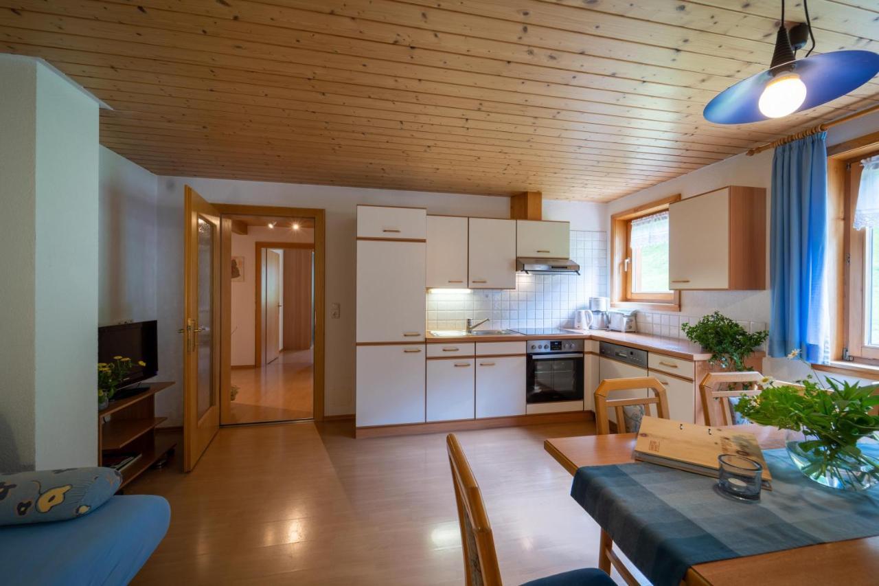 Ferienbauernhof Oberhauser Schoppernau Ngoại thất bức ảnh