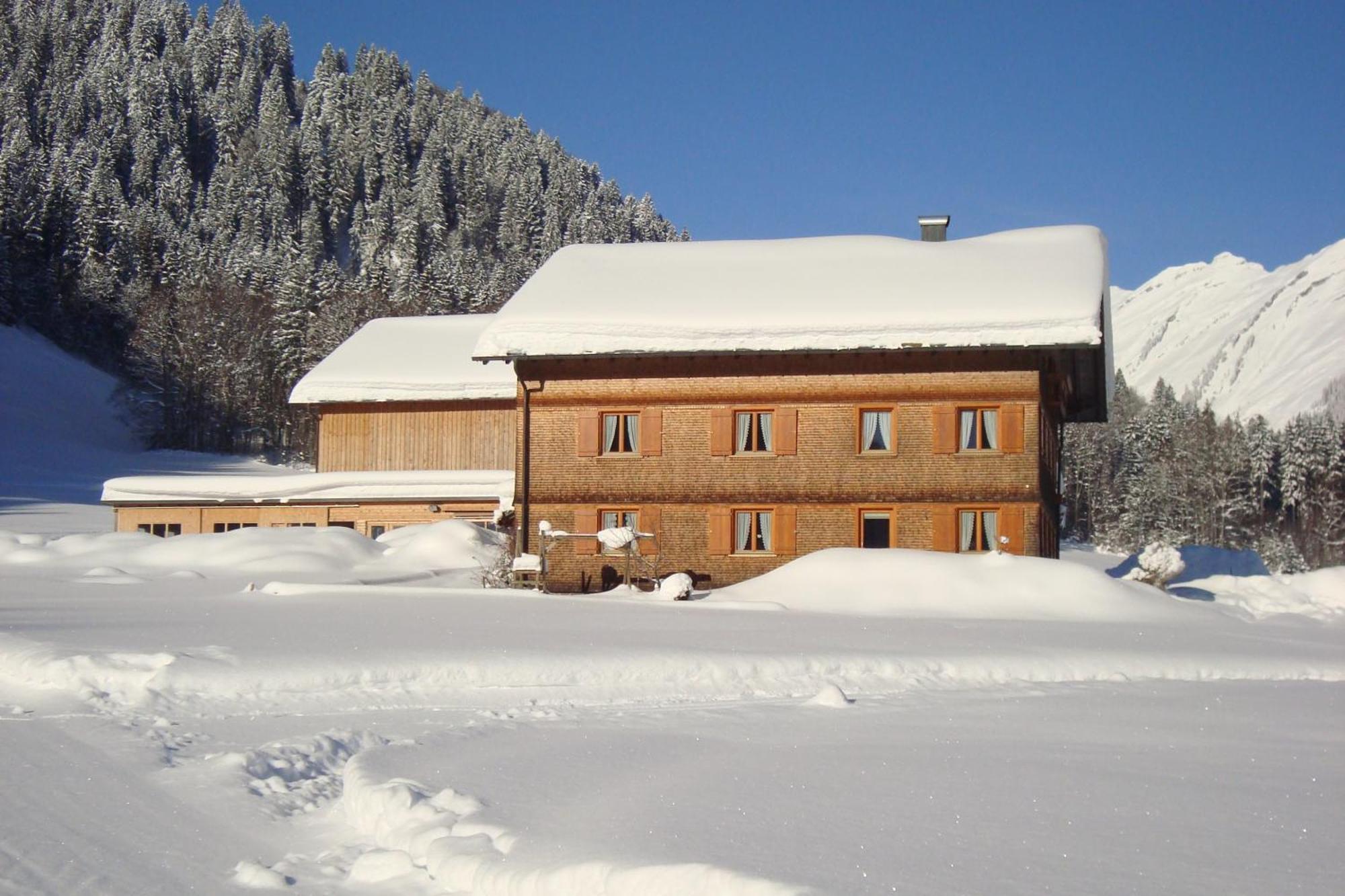 Ferienbauernhof Oberhauser Schoppernau Ngoại thất bức ảnh